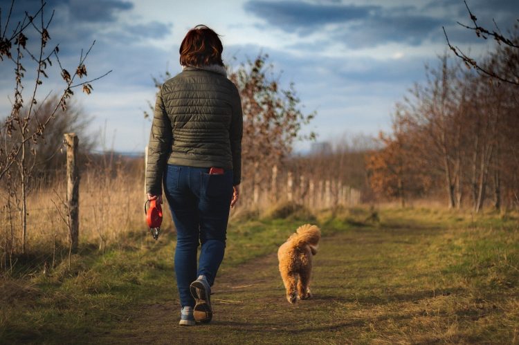Comment les chiens peuvent vous aider à rester en forme