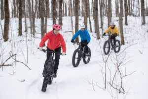 fat-bike