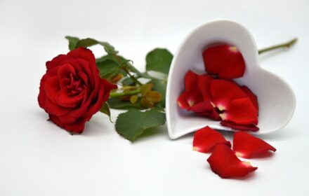 Offrir_des_roses_rouges_à_la_Saint_Valentin_:_l’histoire_derrière_cette_tradition